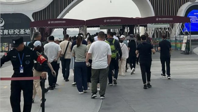 熊猫基地和三星堆一日游，不想入团一定要避坑小心这些事！